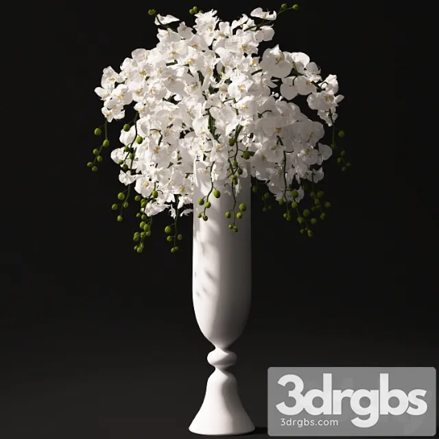 Orchid Bouquet 22 3dsmax Download