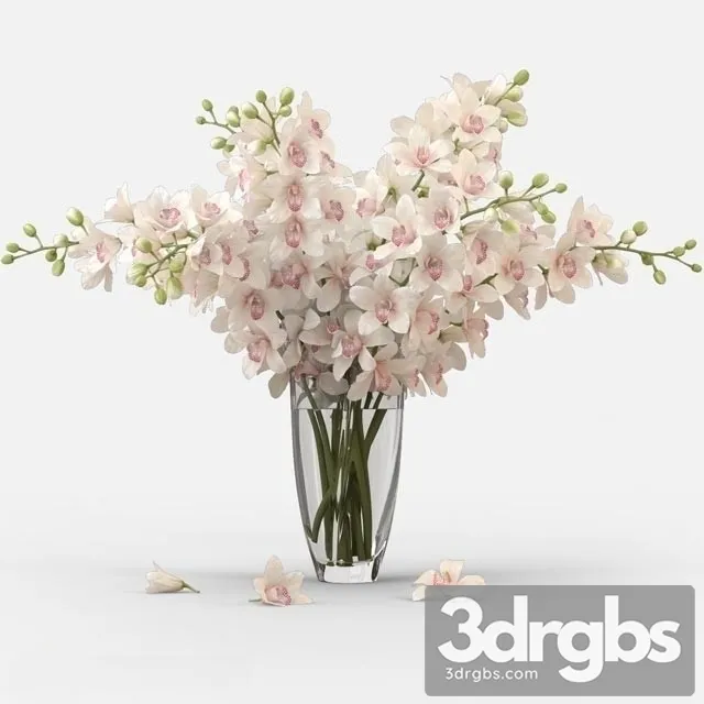 Orchid Bouquet 3dsmax Download