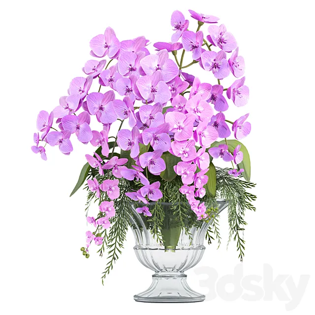 Orchid flower set02 3dsMax Model