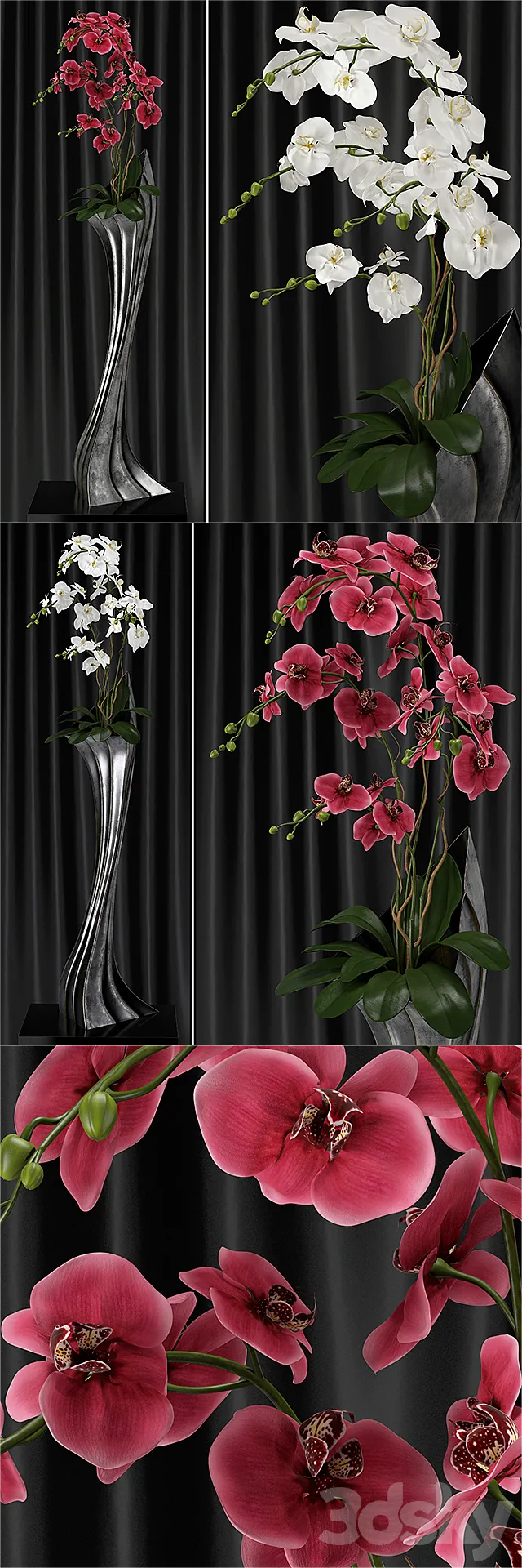 Orchid (phalaenopsis) bouquet 2 3ds Max