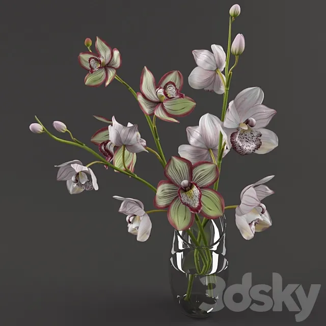 Orchids 3DS Max Model