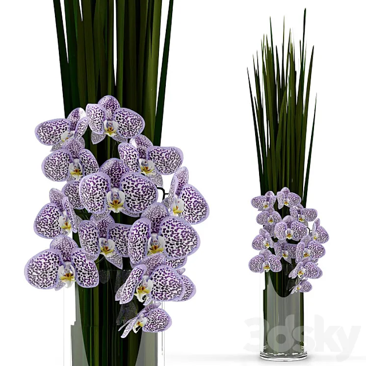 Orchids with grass in glass vase 3DS Max