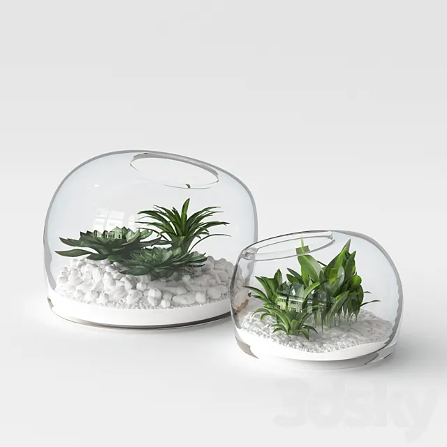 Organic Form Terrariums 3DS Max Model