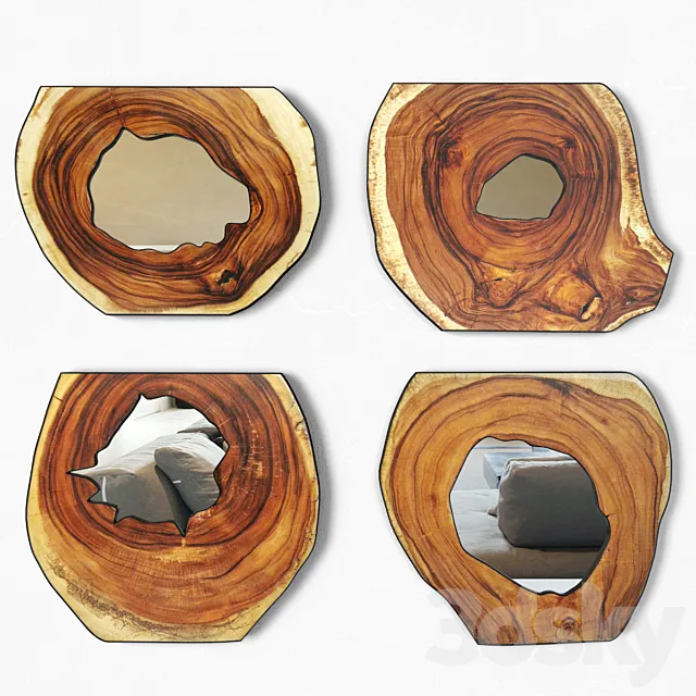 Organic Monkey Pod Mirrors 2 3ds Max