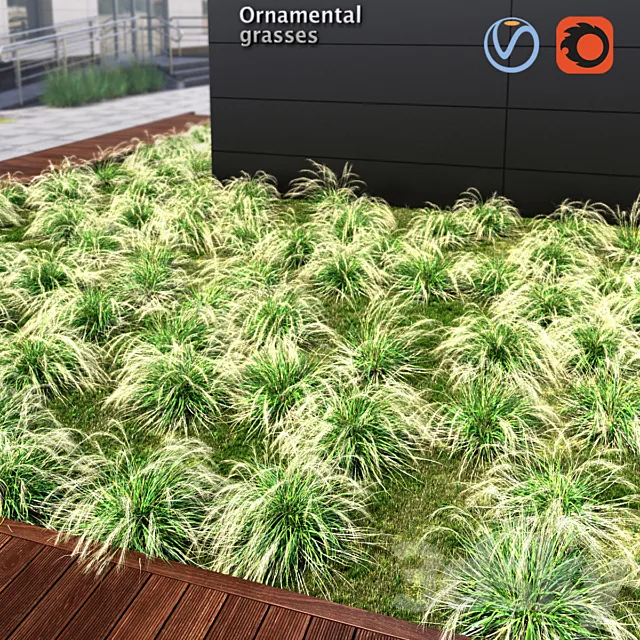 Ornamental grass 3ds Max