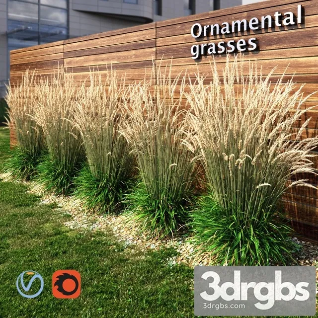 Ornamental Grass Dry 3dsmax Download