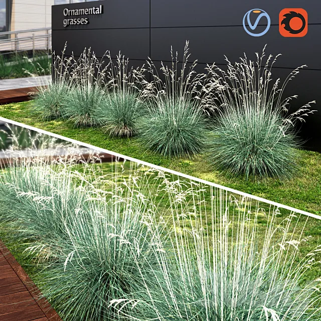 Ornamental grass dry blue 3ds Max