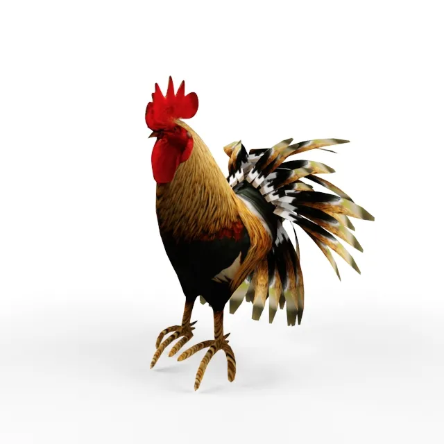 other-models – Cock 3ds Max