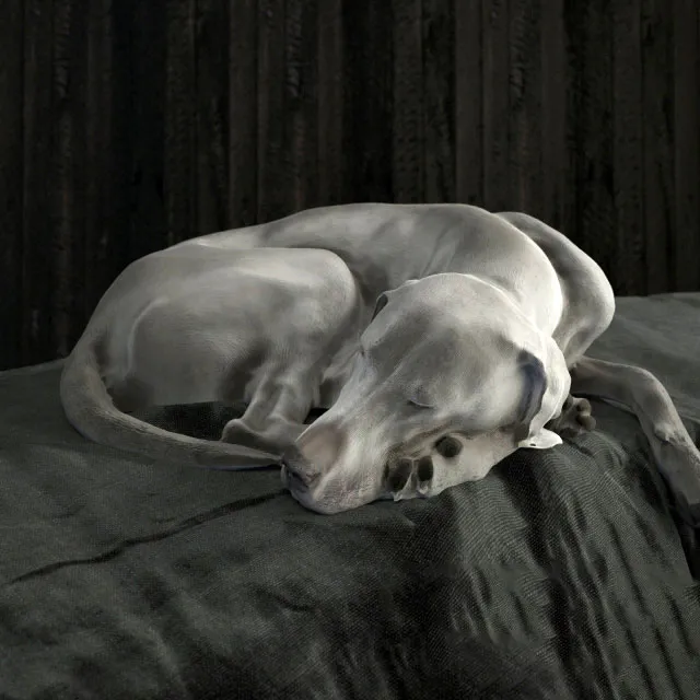 other-models – Dog figurine 3ds Max
