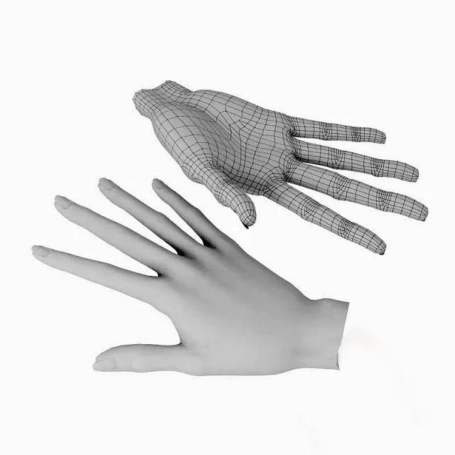 other-models – Woman’s hand 3ds Max