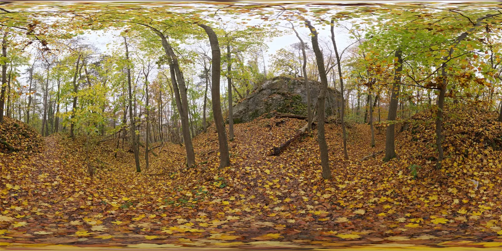 HDRI – Autumn Forest 01 – nature