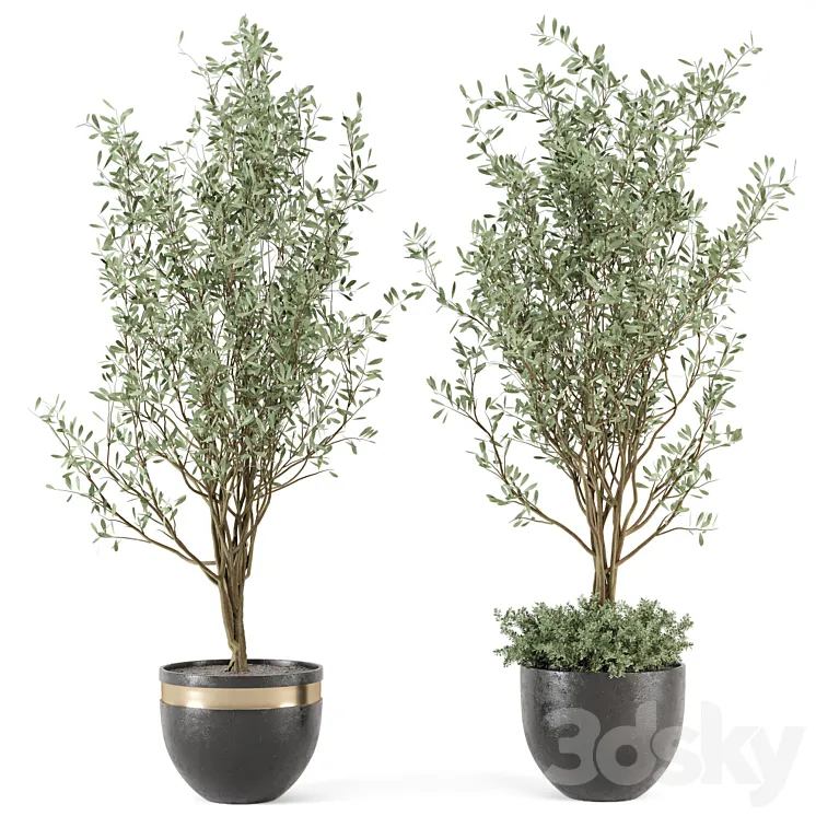 Outdoor bush and Tree in rusty Concrete Pot – Set 204 3DS Max