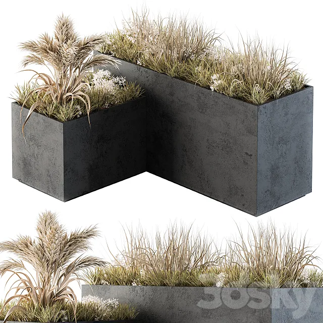 Outdoor Concrete Plant Box with Cereals and Dried Plants 3DS Max Model