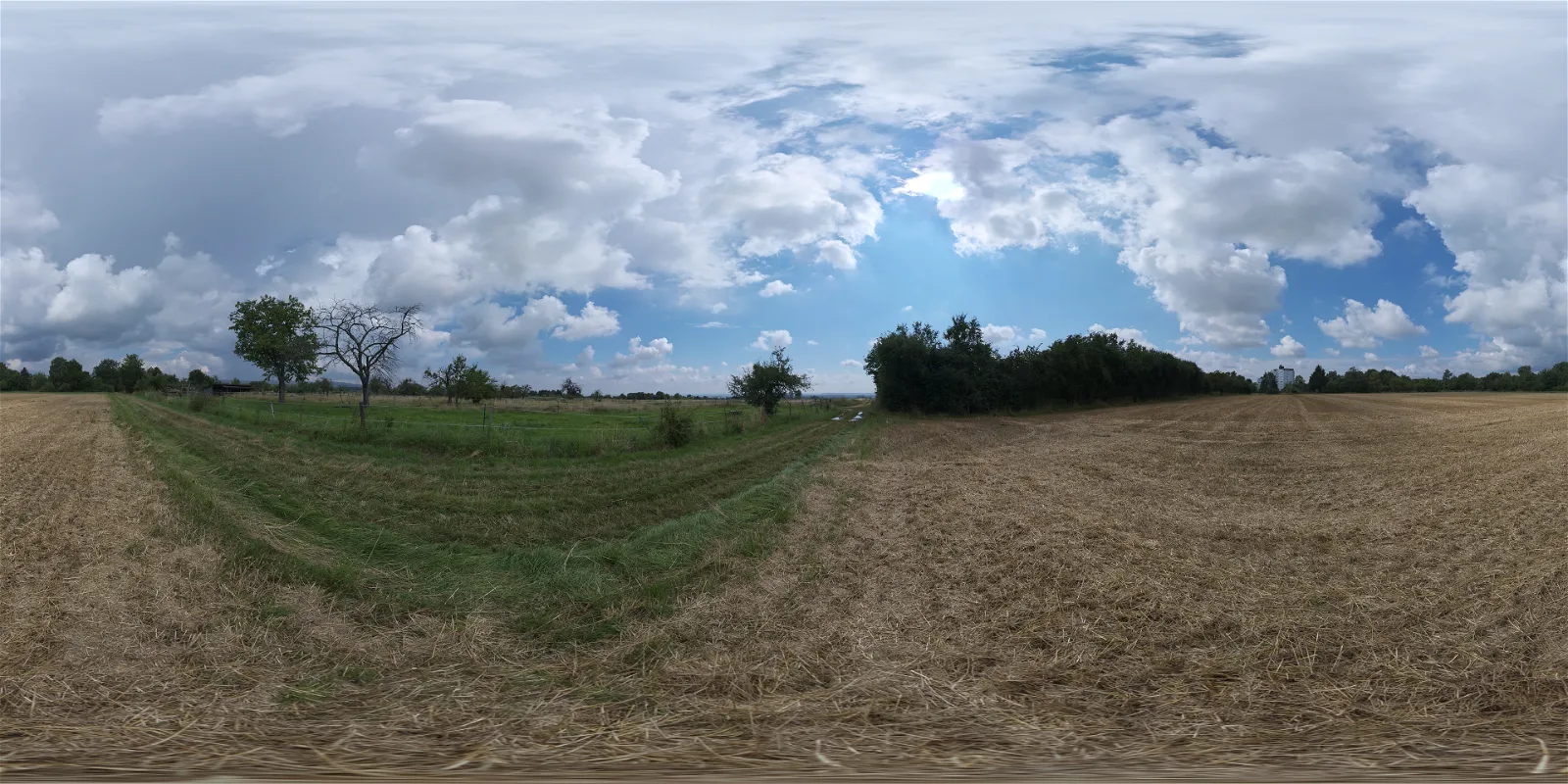 HDRI – Dry Hay Field – nature