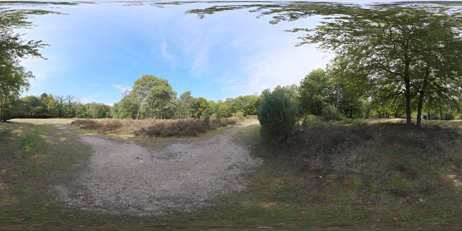 HDRI – Epping Forest 02 – nature