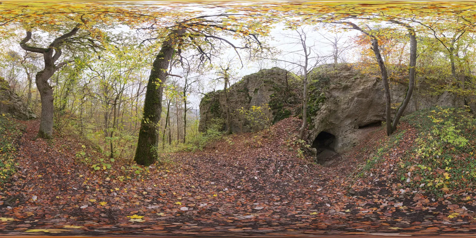 HDRI – Forest Cave – nature