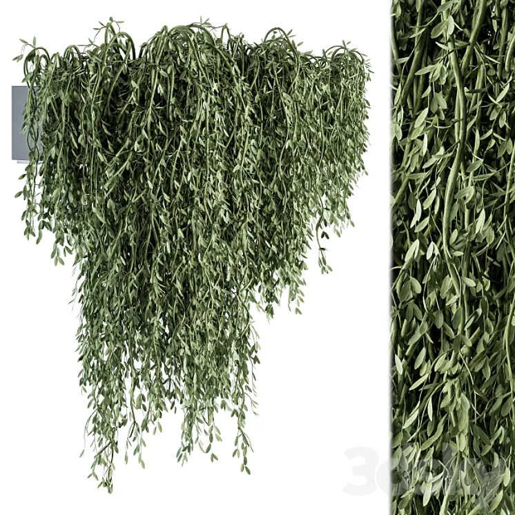 Outdoor Hanging Plants – Set 294 3DS Max Model