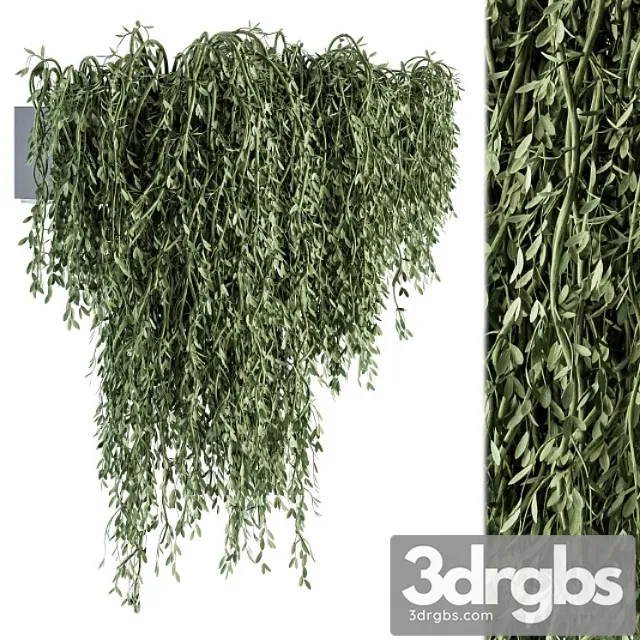 Outdoor hanging plants – set 294