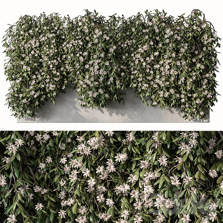 Outdoor Hanging Plants with White Flower – Set 390 3DS Max Model