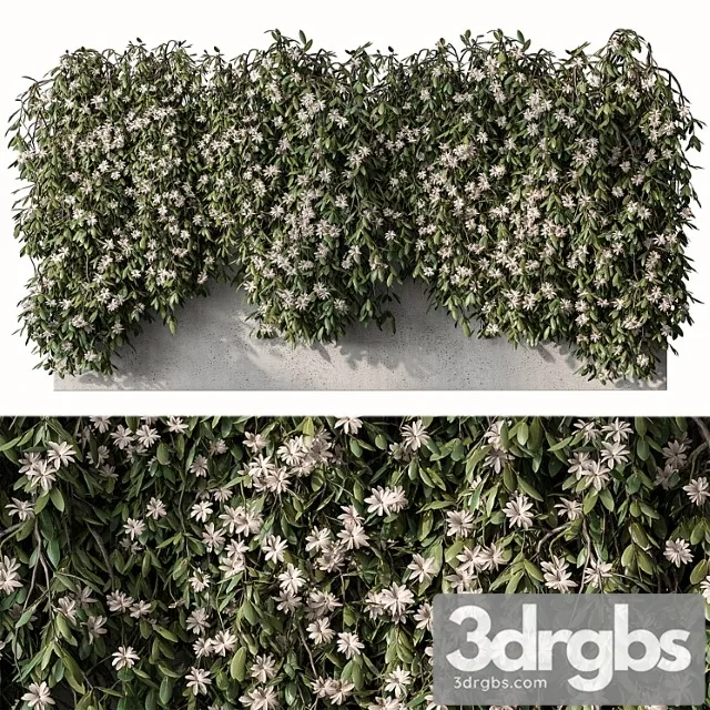Outdoor hanging plants with white flower – set 390