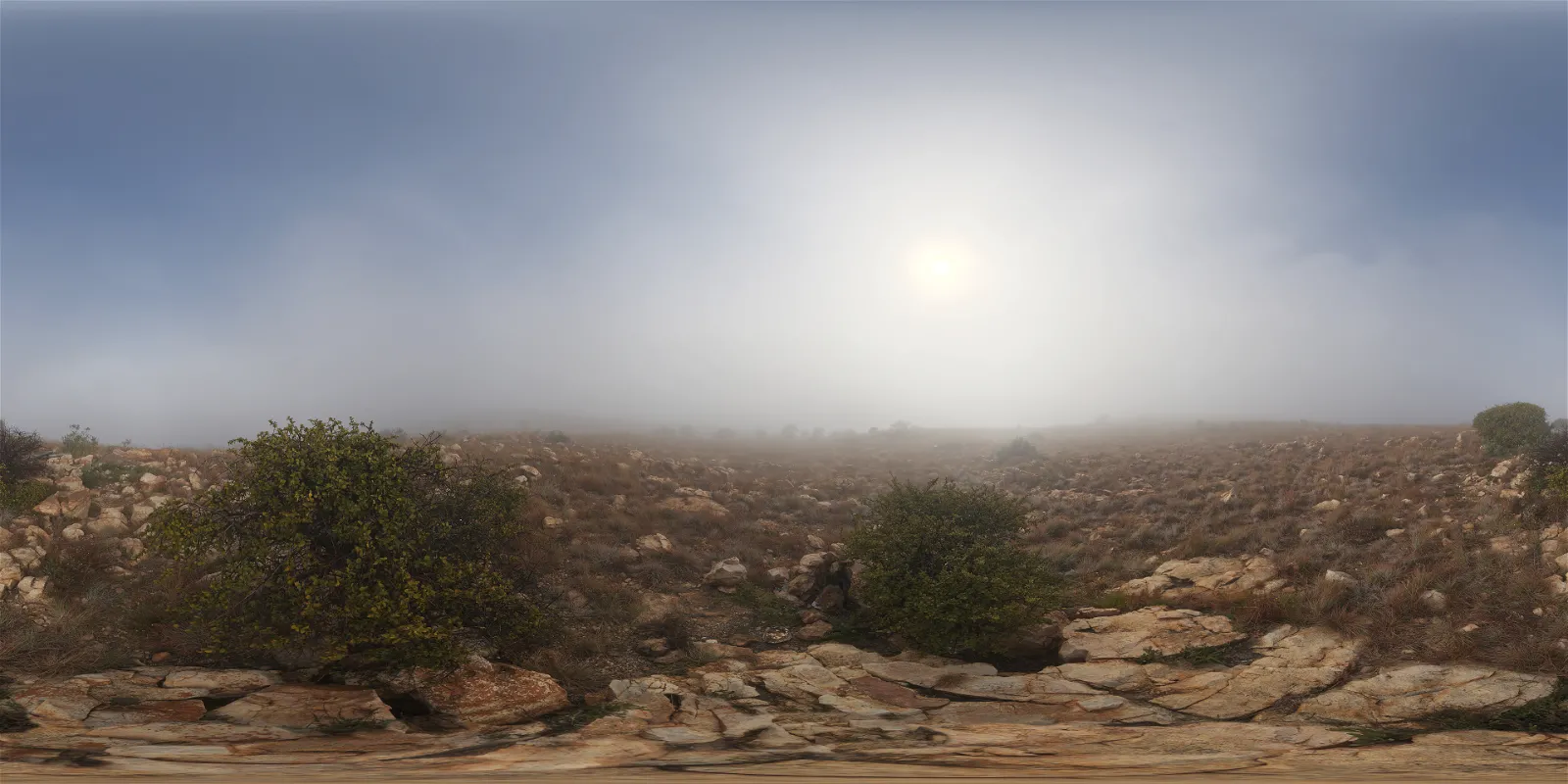 HDRI – Kloofendal 28d Misty – skies