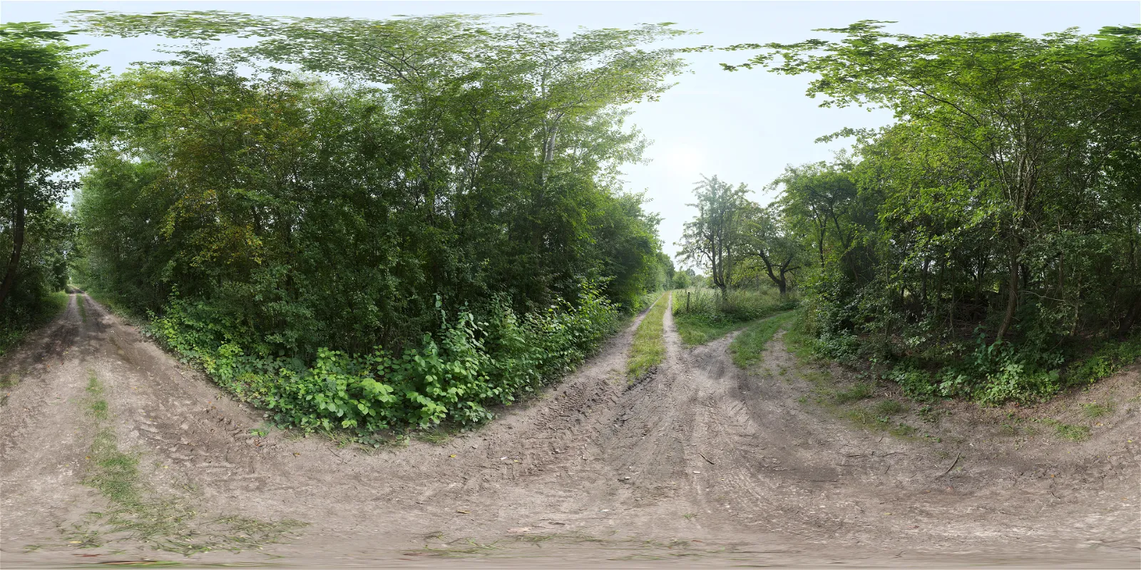 HDRI – Lush Dirt Path – nature