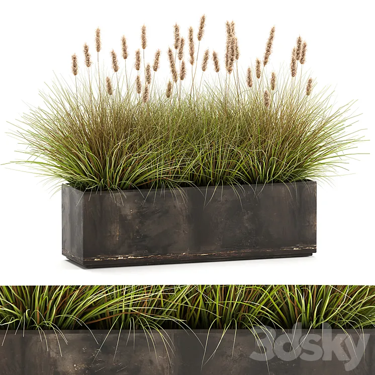 Outdoor metal pot in the bushes Pampas grass flowerpot flowerbed reed. 905. 3DS Max Model