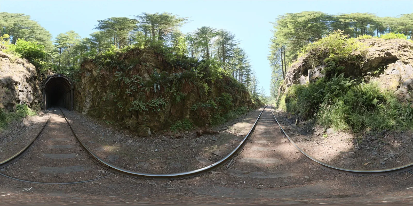 HDRI – Moulton Station Train Tunnel West – nature