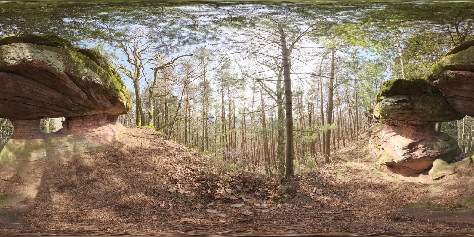 HDRI – Pf�lzer Forest 01 – nature