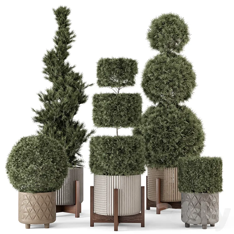 Outdoor Pine Plants in Concrete Pot – Set 522 3DS Max Model