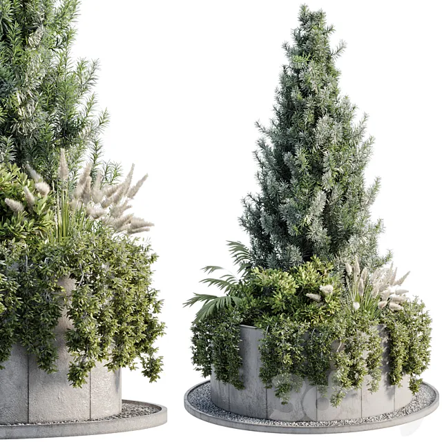 Outdoor Plant 06 3dsMax Model