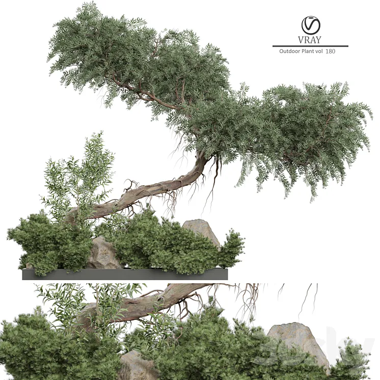 Outdoor Plant 180 3DS Max Model