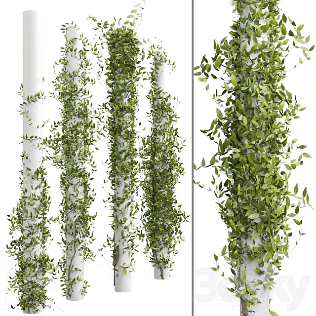 Outdoor Plant 180 3dsMax Model