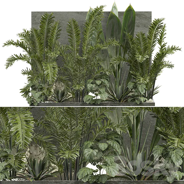 Outdoor Plant 239 3DS Max Model