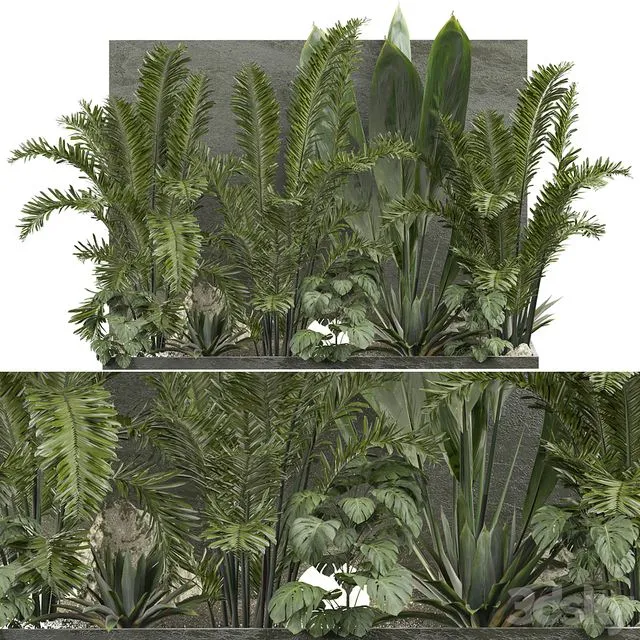 Outdoor Plant 239 3dsMax Model