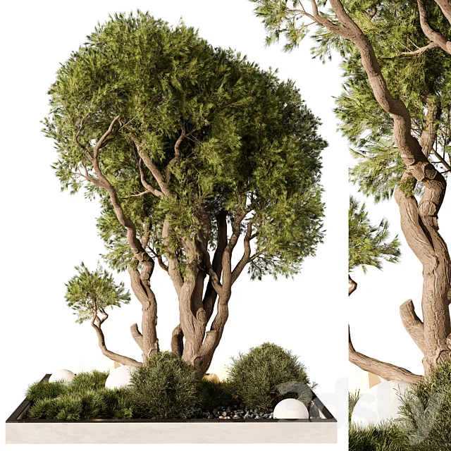 Outdoor Plant 247 3DS Max Model