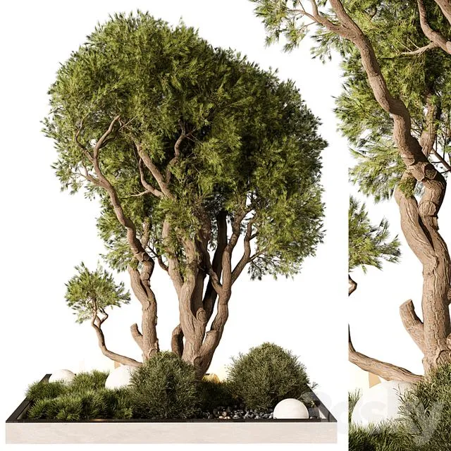 Outdoor Plant 247 3dsMax Model