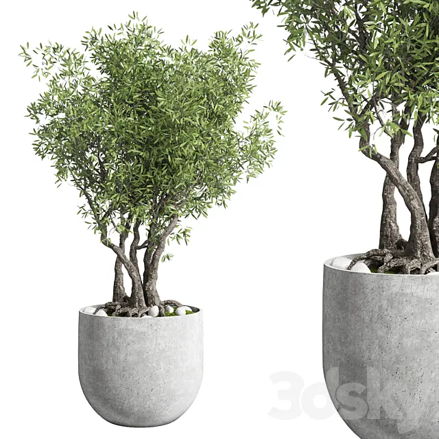 Outdoor plant 28 concrete vase 3ds Max