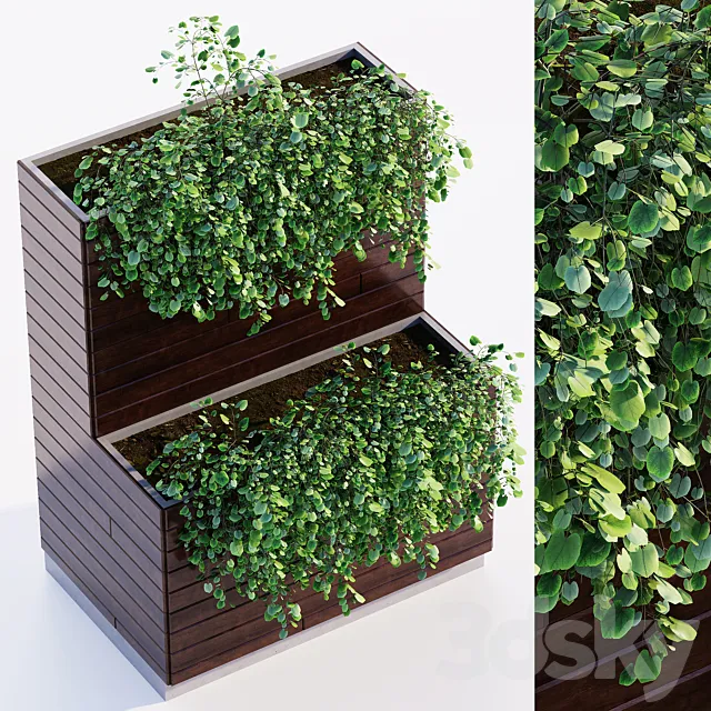 Outdoor plant 3DS Max Model