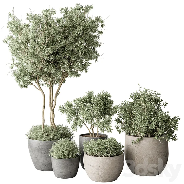 Outdoor Plant 488 – Pine Plants 3DS Max Model