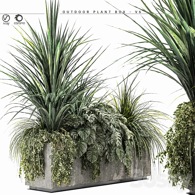 Outdoor Plant BOX-V6 3DS Max