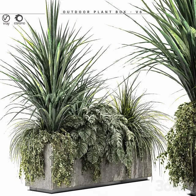 Outdoor Plant BOX-V6 3dsMax Model