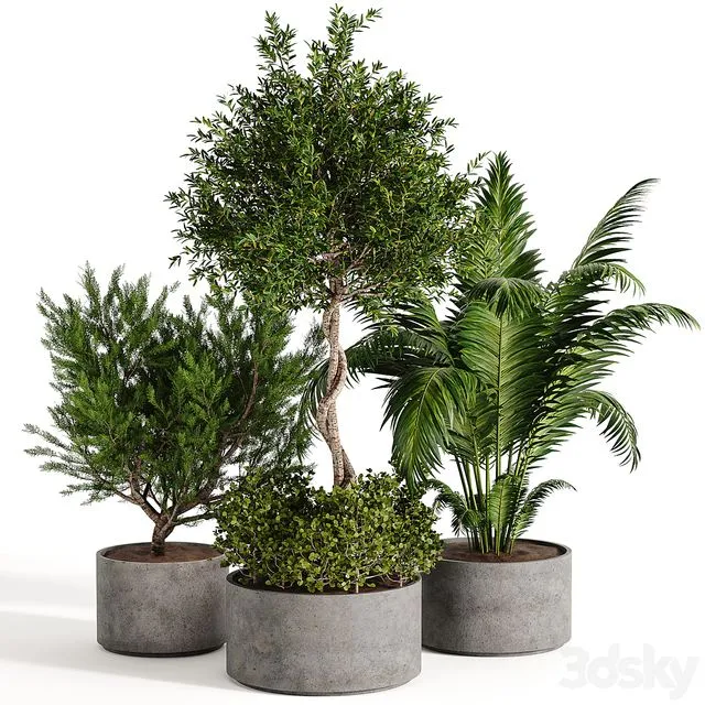 Outdoor plant collection 02 3dsMax Model