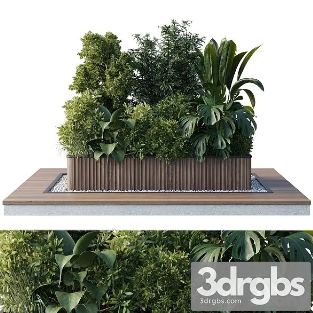 Outdoor Plant Collection 114 3dsmax Download