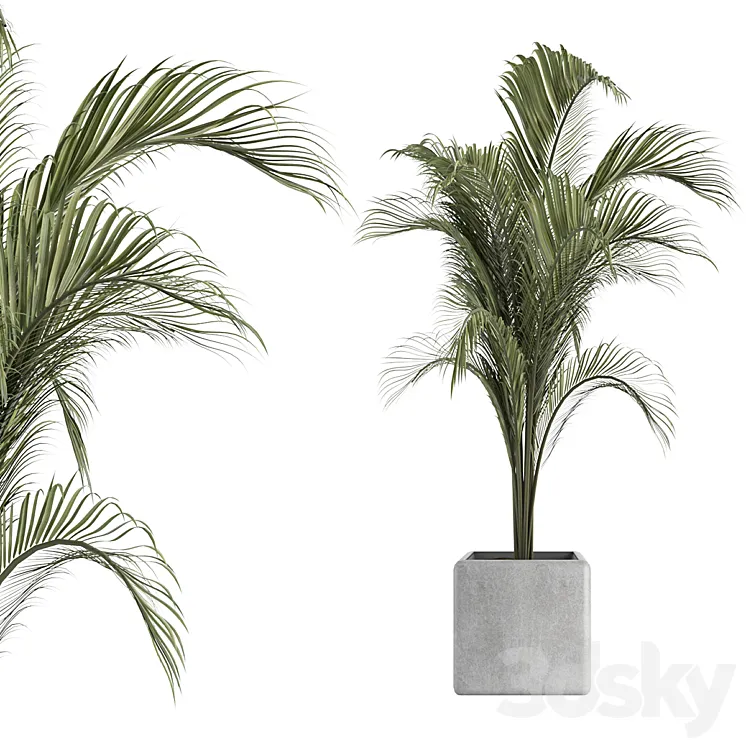 OutDoor Plant No 2 3DS Max