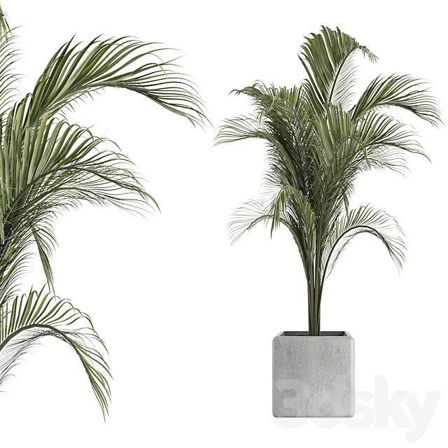 OutDoor Plant No 2 3DSMax File