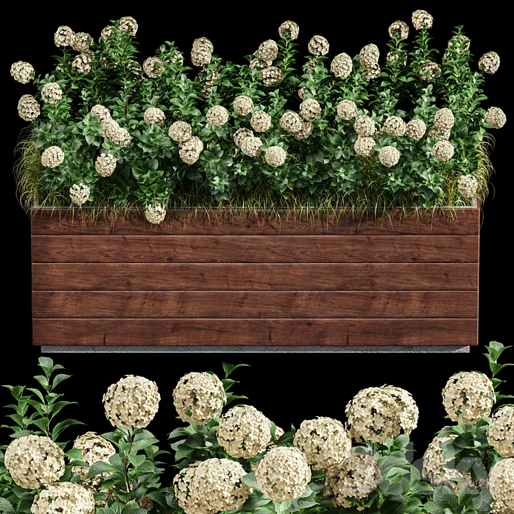 Outdoor Plant Set 001 – Plant Box 3DS Max