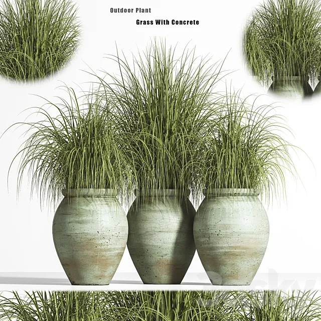 Outdoor Plant set 01 3ds Max