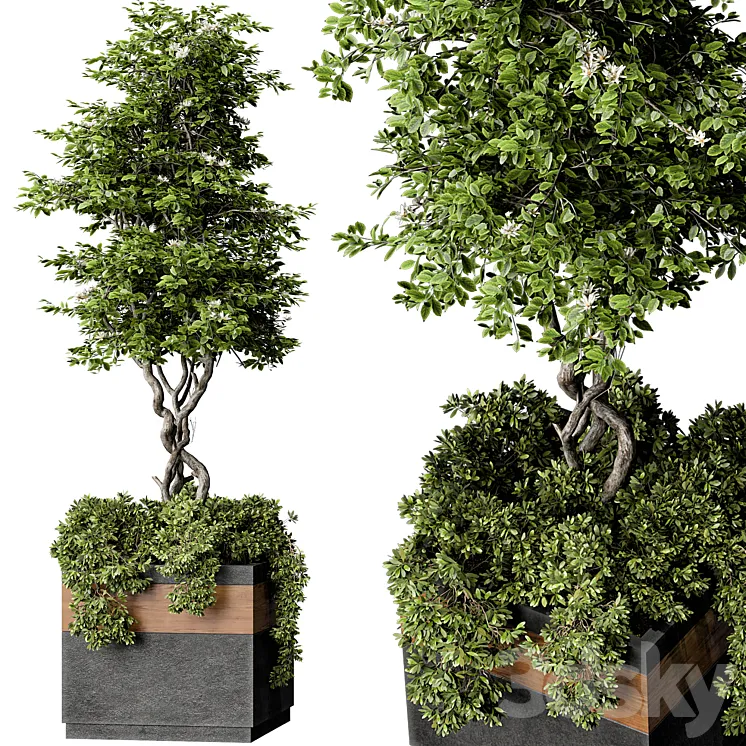 Outdoor Plant Set 01 3DS Max