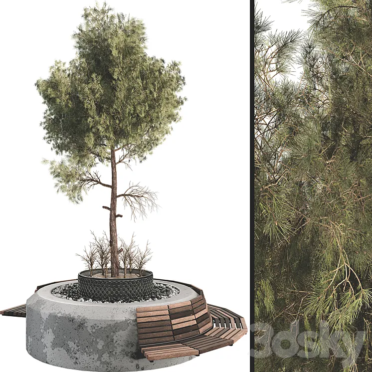 Outdoor Plant Set 06 3DS Max